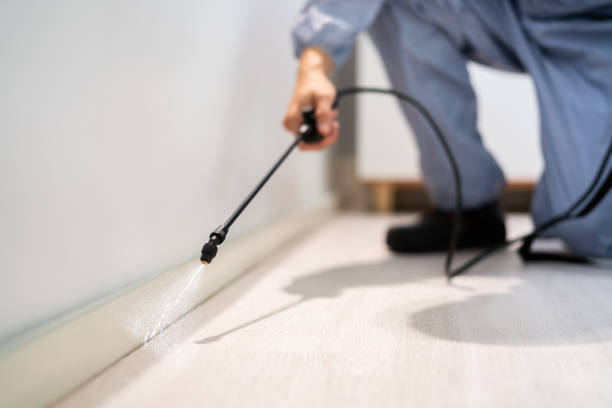 Licensed Pest Control service in Chino, CA - Show Me Pest Control
