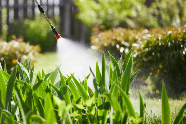Tamper-Resistant Bait Stations for Rodents in Chino