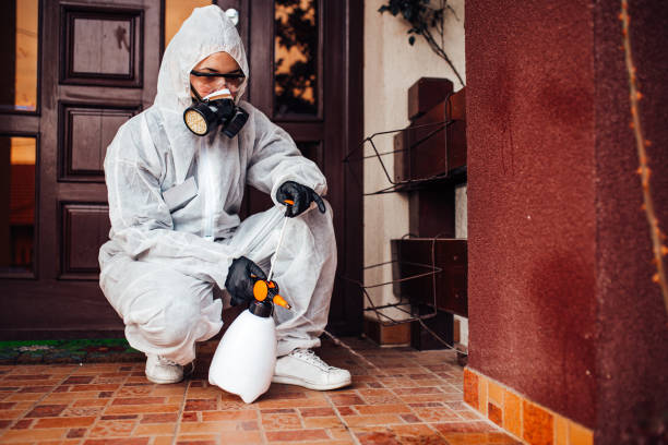 Attic and Crawl Space Rodent Treatment in Chino